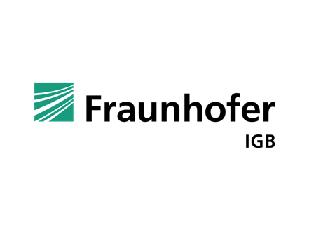 Logo - Fraunhofer IGB